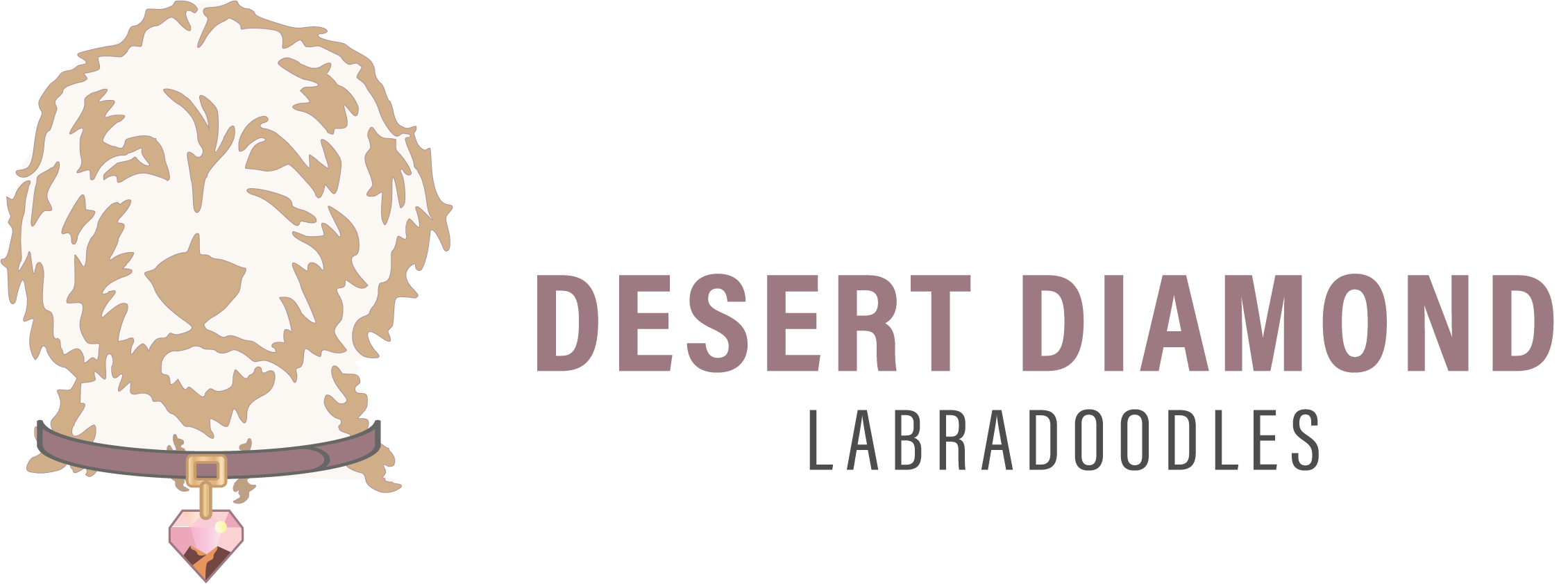 Desert Diamond Labradoodles